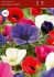 ANEMONE POPPY ANEMONE CORONARIA DE CAEN MIX 67 CM. 50 P.BAG