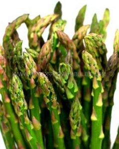 ASPARAGUS ‘VIKING KB3‘ HYBRID 2YR - AS121 (96 P.VAR.)