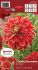 DAHLIA DECORATIVE DUTCH CARNAVAL I 10 PKGS.X 1