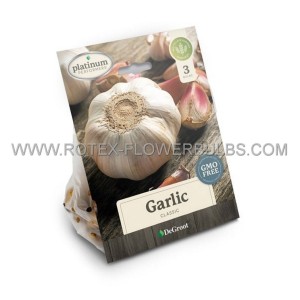 GARLIC BULBS SOFTNECK NO.1 - EG9201 (15 PKGS.X 3)