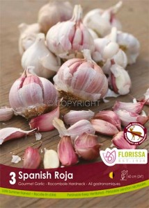 GARLIC ‘SPANISH ROJA‘ I (15 QUALITY PKGS.X 3)