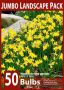 NARCISSUS BOTANICAL ‘TETE A TETE‘ 10-12 (10 JUMBO LANDSCAPE PKGS.X 50)