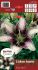 LILIUM ASIATIC EASY SPOT 1618 CM. 10 PKGS.X 2