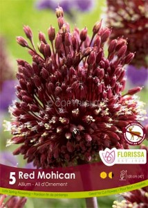 MISCELLANEOUS ALLIUM ‘RED MOHICAN‘ 10/+ CM. (15 QUALITY PKGS.X 5)