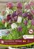 MISCELLANEOUS FRITILLARIA MELEAGRIS MIX 67 CM. 20 QUALITY PKGS.X 10