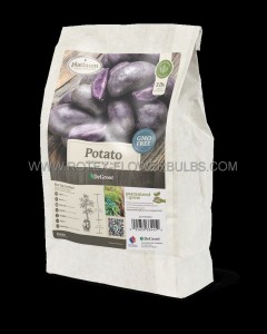 POTATO ‘ADIRONDACK‘ BLUE GRADE B - PO3486 (10 BAGS X 3LBS.)