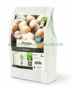 POTATO ‘YUKON GOLD‘ GRADE B - PO2440 (10 BAGS X 4LBS.)