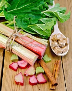 RHUBARB ‘VICTORIA‘ 0.75-1.5 - RH121 (50 P.VAR.)