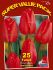 TULIPA DARWIN HYBRID ASSORTED 12 CM. 20 SUPER VALUE PKGS.X 25