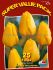 TULIPA DARWIN HYBRID ASSORTED 12 CM. 20 SUPER VALUE PKGS.X 25