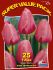 TULIPA DARWIN HYBRID ASSORTED 12 CM. 20 SUPER VALUE PKGS.X 25