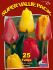 TULIPA DARWIN HYBRID ASSORTED 12 CM. 20 SUPER VALUE PKGS.X 25