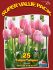 TULIPA DARWIN HYBRID MYSTIC VAN EYK 12 CM. 20 SUPER VALUE PKGS.X 25