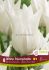 TULIPA LILY FLOWERING WHITE TRIUMPHATOR 12 CM. 15 QUALITY PKGS.X 6