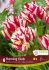 TULIPA MULTIFLOWERING FLAMING CLUB 12 CM. 15 QUALITY PKGS.X 6