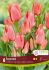 TULIPA MULTIFLOWERING TORONTO 12 CM. 15 QUALITY PKGS.X 6