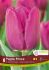 TULIPA SINGLE EARLY PURPLE PRINCE 12 CM. 15 QUALITY PKGS.X 6