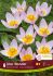 TULIPA SPECIES BAKERI LILAC WONDER 6 CM. 15 QUALITY PKGS.X 6