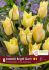 TULIPA SPECIES BATALINII BRIGHT GEM 6 CM. 15 QUALITY PKGS.X 6